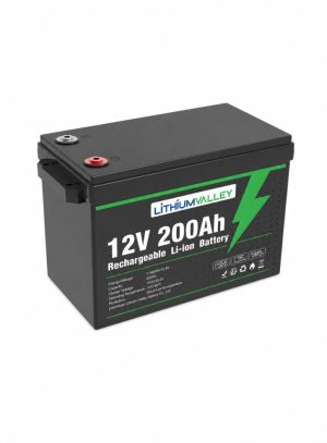 Lithium Valley 2.56kWh LiFePO4 Battery 12V 200Ah