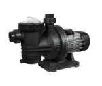 Azure Duo 900W 110VDC/220VAC Hybrid Pool Pump Max flow  20m3/h